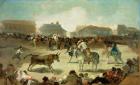 A Village Bullfight (oil on canvas)