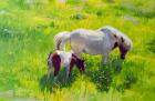 Piebald horse and foal (oil on board)