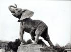 Young Elephant Caught in a Trap (1878) by Emmanuel Fremiet (1824-1910) in front of the Trocadero Palace, constructed for the Universal Exposition (1878), Paris, 1888 (b/w photo)