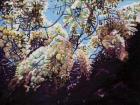 White wisteria, 2012, (oil on canvas)