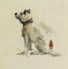 A Terrier, sitting facing left (w/c on paper)