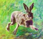 Joyful hare, 2011, (coloured pencil on paper)