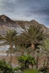 Desert View, from the series View from Ein Gedi, 2016 (photograph)