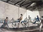 Johnson's Pedestrian Hobbyhorse Riding School, 1819 (colour litho)