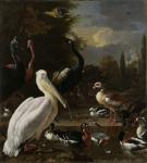 A Pelican and other Birds near a Pool, Known as ‘The Floating Feather’, c.1680 (oil on canvas)