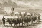 A Bullock Wagon Crossing the Great Plains between St. Louis and Denver, c.1870, from 'American Pictures', published by The Religious Tract Society, 1876 (engraving)