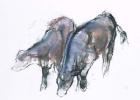 Calves, 2006 (charcoal & conte on paper)