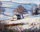 Winter Frost, 2009 (oil on canvas)