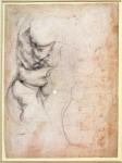 Study of torso and buttock (charcoal on paper) (recto)