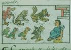 Ms Palat. 218-220 Book IX Animals of the Aztec Emperor, from the 'Florentine Codex' by Bernardino de Sahagun, c.1540-85