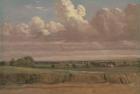Landscape with Wheatfield, c.1850s (oil on canvas)