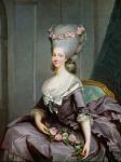 Marie-Therese de Savoie-Carignan (1749-92) Princess of Lamballe (oil on canvas)