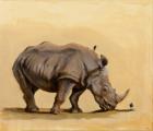 White rhino and starlings, 2012, (oil on canvas)