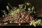 Still Life with a plate of grapes (oil on canvas)