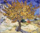 Mulberry Tree, 1889 (oil on canvas)