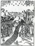 Creation, first page of Genesis, from the Lugduni Bible, 1538 (woodcut)