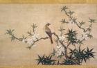 Bird on peach blossom, c.1550-60 (watercolour on paper)