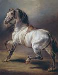 A Study of a Horse (oil on canvas)