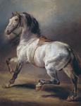 A Study of a Horse (oil on canvas)