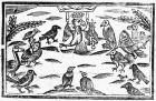 The Woody Choristers or The Birds Harmony, an illustration from 'A Book of Roxburghe Ballads' (woodcut) (b/w photo)