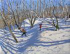 Spring Snow, Newhaven Derbyshire, 2008 (oil on canvas)
