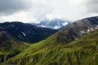 Alaskan tundra, Denali National Park, Alaska (photo)