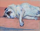 Sleeping Pug Two, 2000,(ink and gouache)
