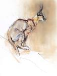 Seated Caracal, 2009 (conte & charcoal on paper)