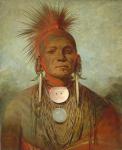 See-non-ty-a, an Iowa Medicine Man, 1844-45 (oil on canvas)