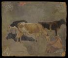 Study of Five Horned Cattle (verso) (oil on millboard)
