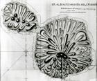 A Plan of King Georges Island or Otheite, 1769 (litho) (b/w photo)