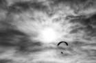 Paraglider against a cloudy sky, 2016, (photograph)