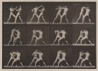 Plate Number 340. Boxing; open hand (shoes), 1887 (collotype)