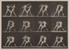 Plate Number 340. Boxing; open hand (shoes), 1887 (collotype)
