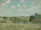 Meadow, 1875 (oil on canvas)