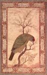 A Barbet (Himalayan blue-throated bird) Jahangir Period, Mughal, 1615