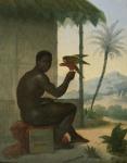 Brazilian negro with Tropical Bird