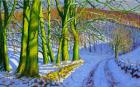 Green Trees,Winter;Dam Lane;Derbyshire,(oil on canvas)