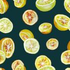Citrus, 2016, (watercolour, digital media)