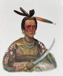 To-Ka-Cou, a Yankton Sioux Chief, 1837, illustration from 'The Indian Tribes of North America, Vol.1', by Thomas L. McKenney and James Hall, pub. by John Grant (colour litho)