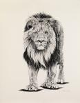 Aslan, 2006, (charcoal on paper)