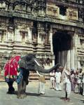 A man being blessed by an elephant at Varadarajaswamy Temple (photo)