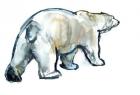 Glacier MInt (Polar bear),2013,(watercolour and gouache on paper)