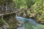 Visitors walking on wooden walkways which run the length of the Vintgar Gorge near Bled, Triglav, National Park, Upper Carniola, Slovenia (photo)