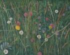Plants of the Machair, 2008 (oil on canvas)