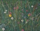 Plants of the Machair, 2008 (oil on canvas)