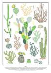 Cacti Varieties print