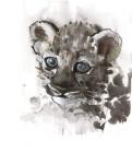 Blue Eyes (Arabian Leopard Cub), 2008 (w/c on paper)