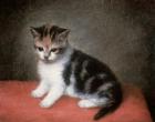 Miss Ann White's Kitten, 1790