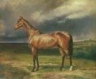 'Abdul Medschid' the chestnut arab horse, 1855 (oil on canvas)